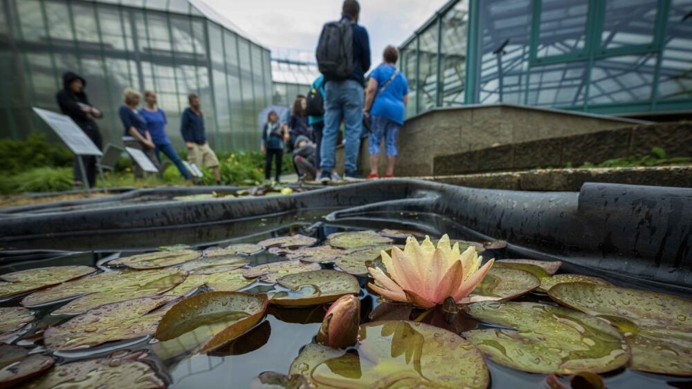 Botanická zahrada, foto: Artur Irma